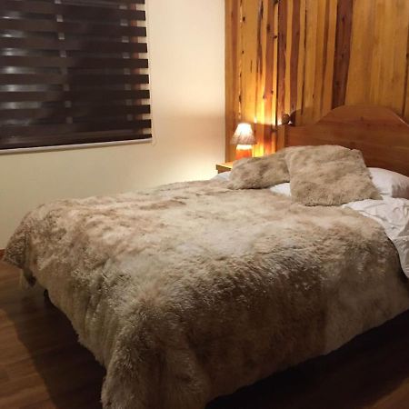Ruka Pucón Hostel Zewnętrze zdjęcie